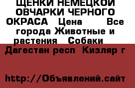 ЩЕНКИ НЕМЕЦКОЙ ОВЧАРКИ ЧЕРНОГО ОКРАСА › Цена ­ 1 - Все города Животные и растения » Собаки   . Дагестан респ.,Кизляр г.